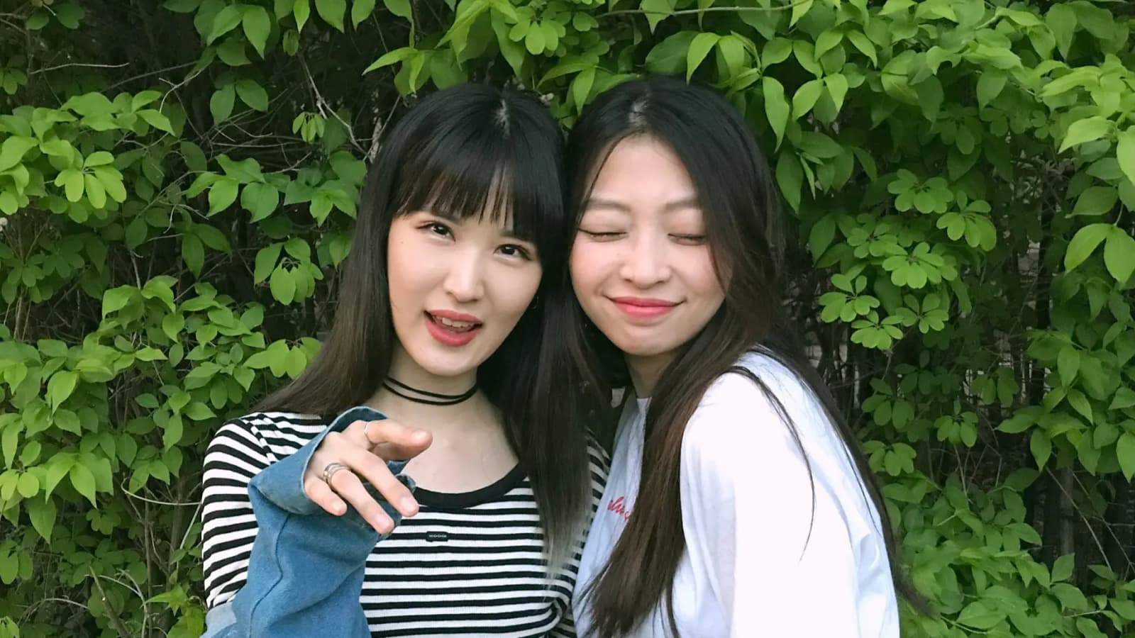 LEEXLEE banner