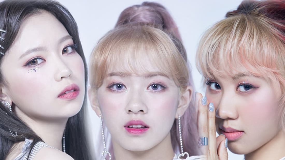 Z-Girls T.P.I banner