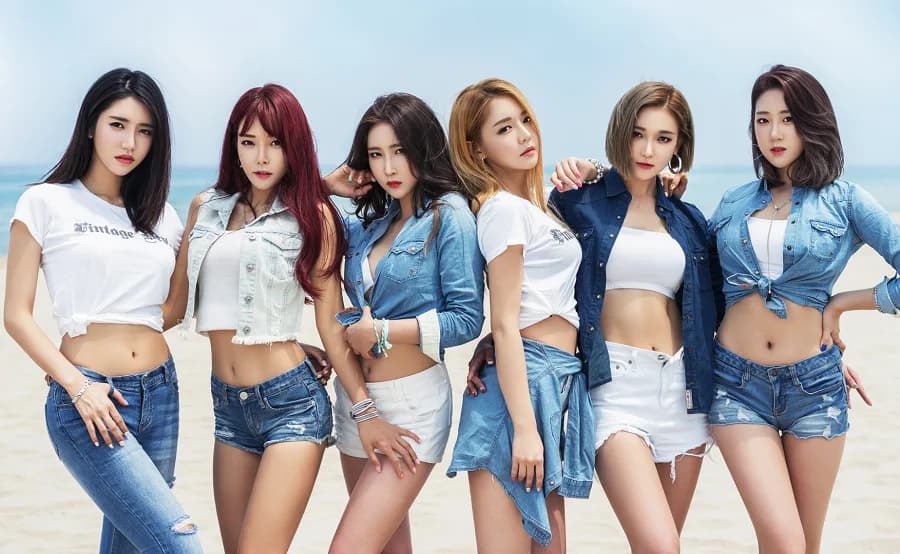 PPL banner