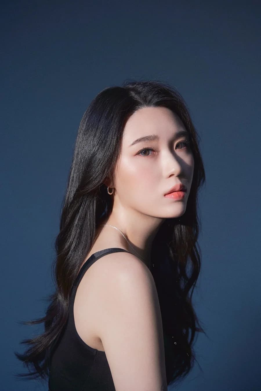 Sudi banner