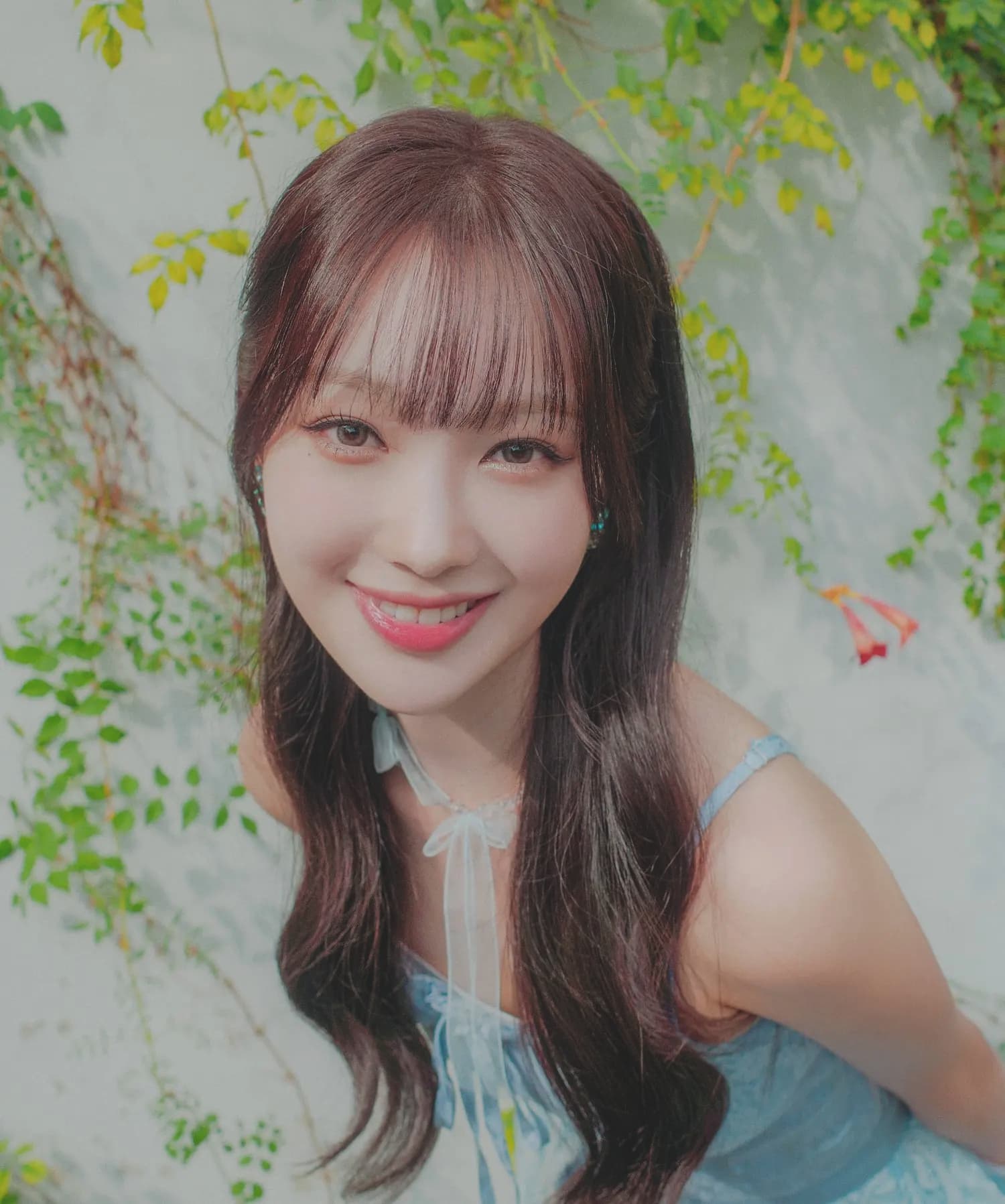Miso banner