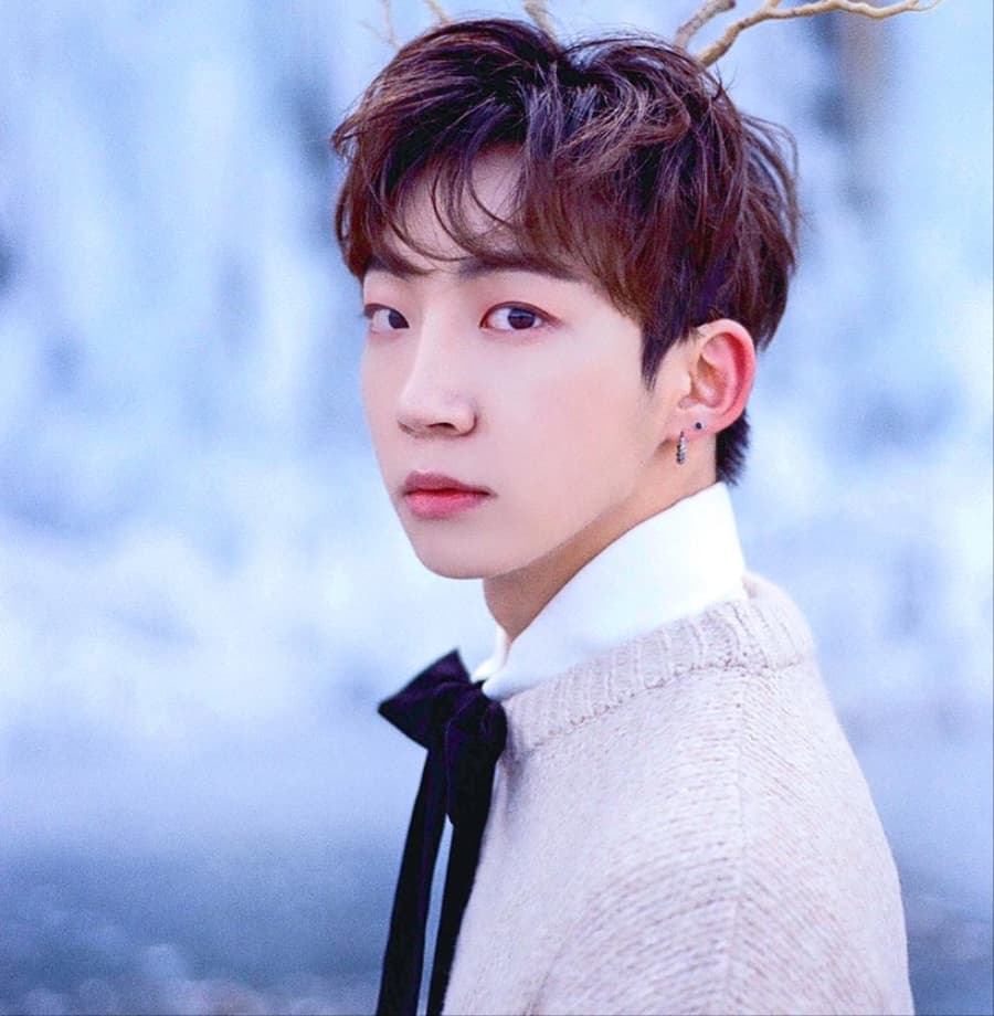 Insoo banner