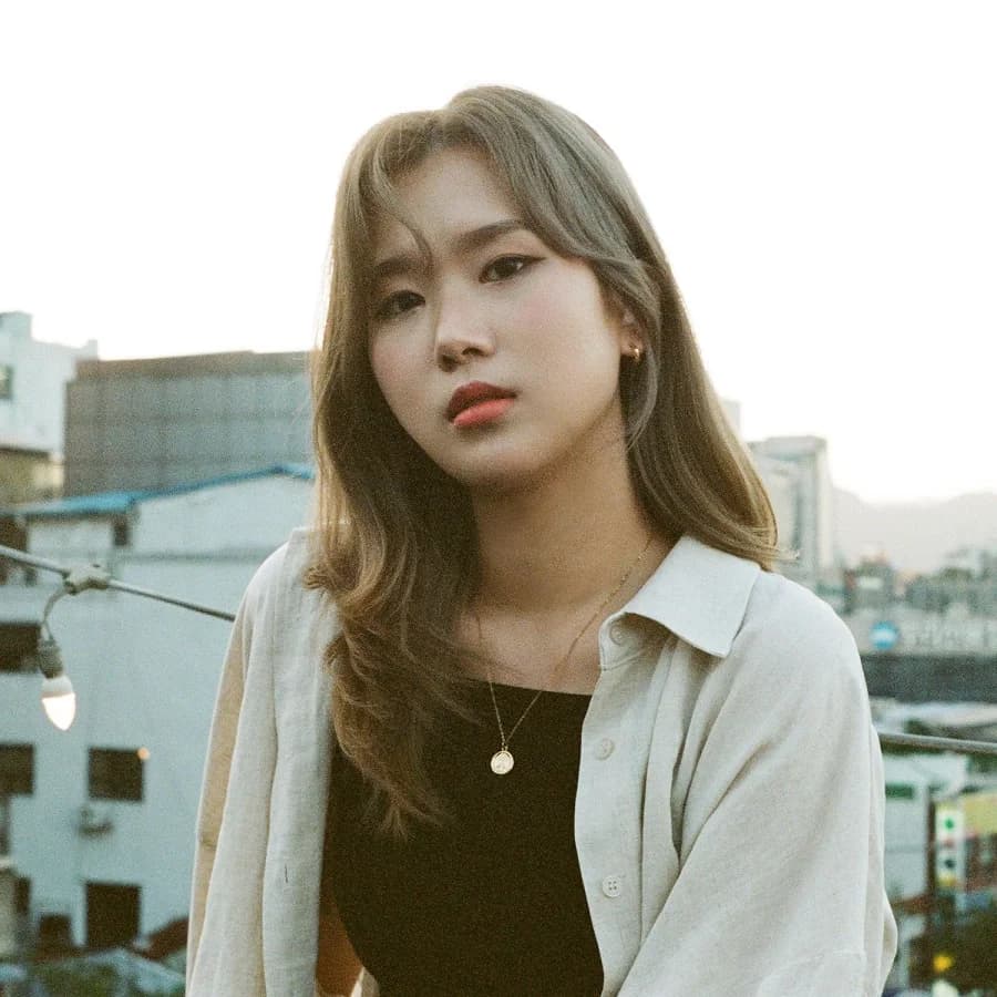 Hanlim banner