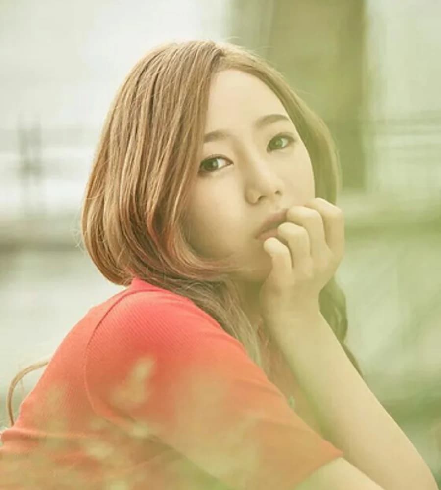 Roa banner