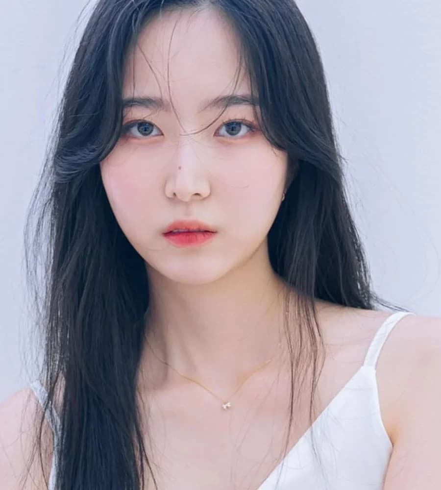 Hyelin banner