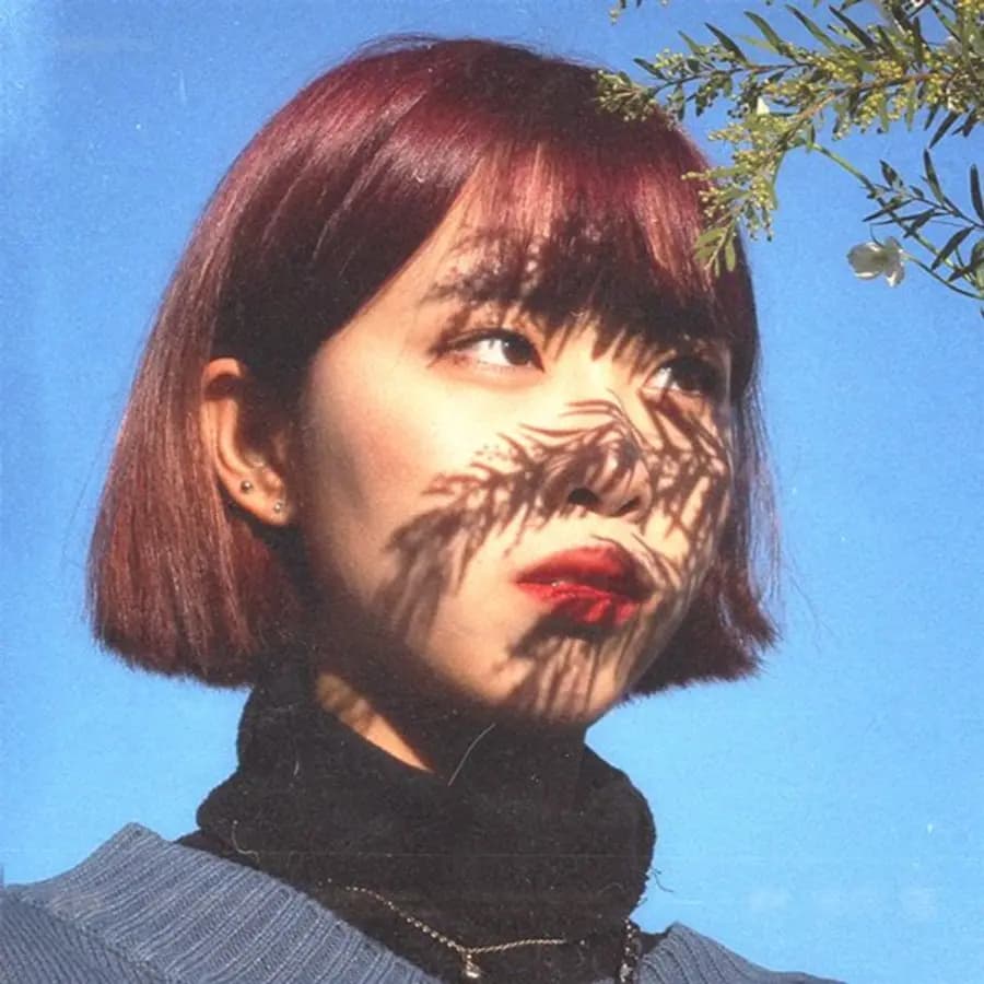 Shinyujinssi banner