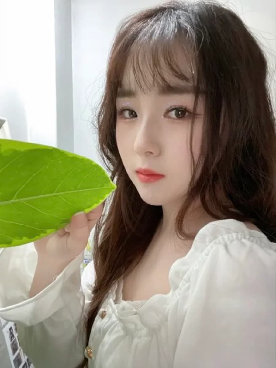 Fan Jiayi banner