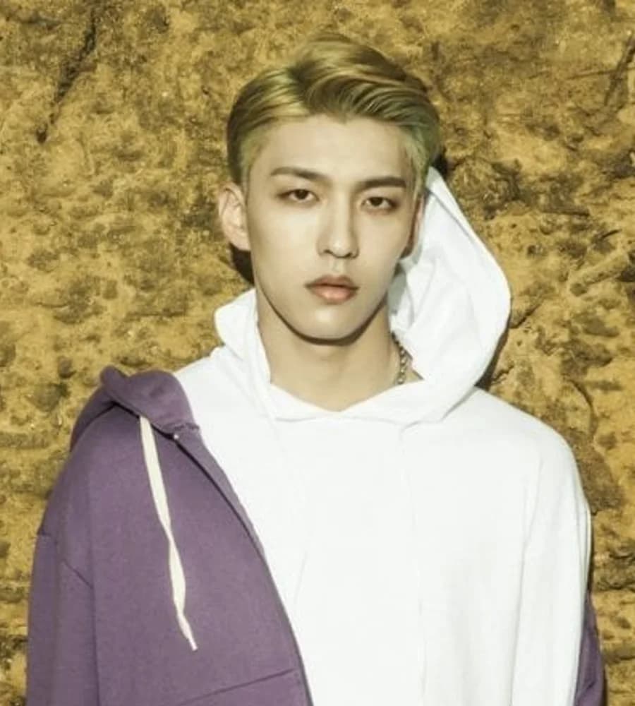 Youngbo banner