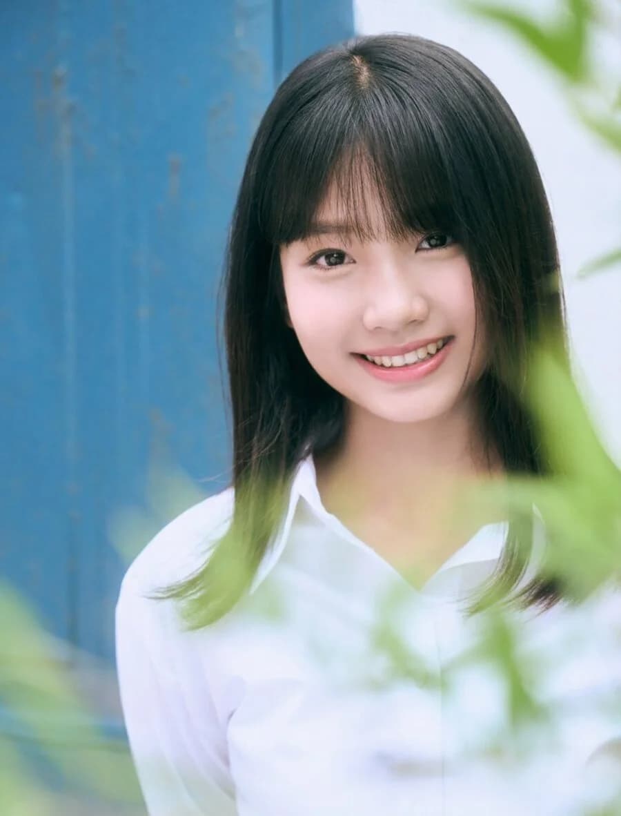 Anxin banner