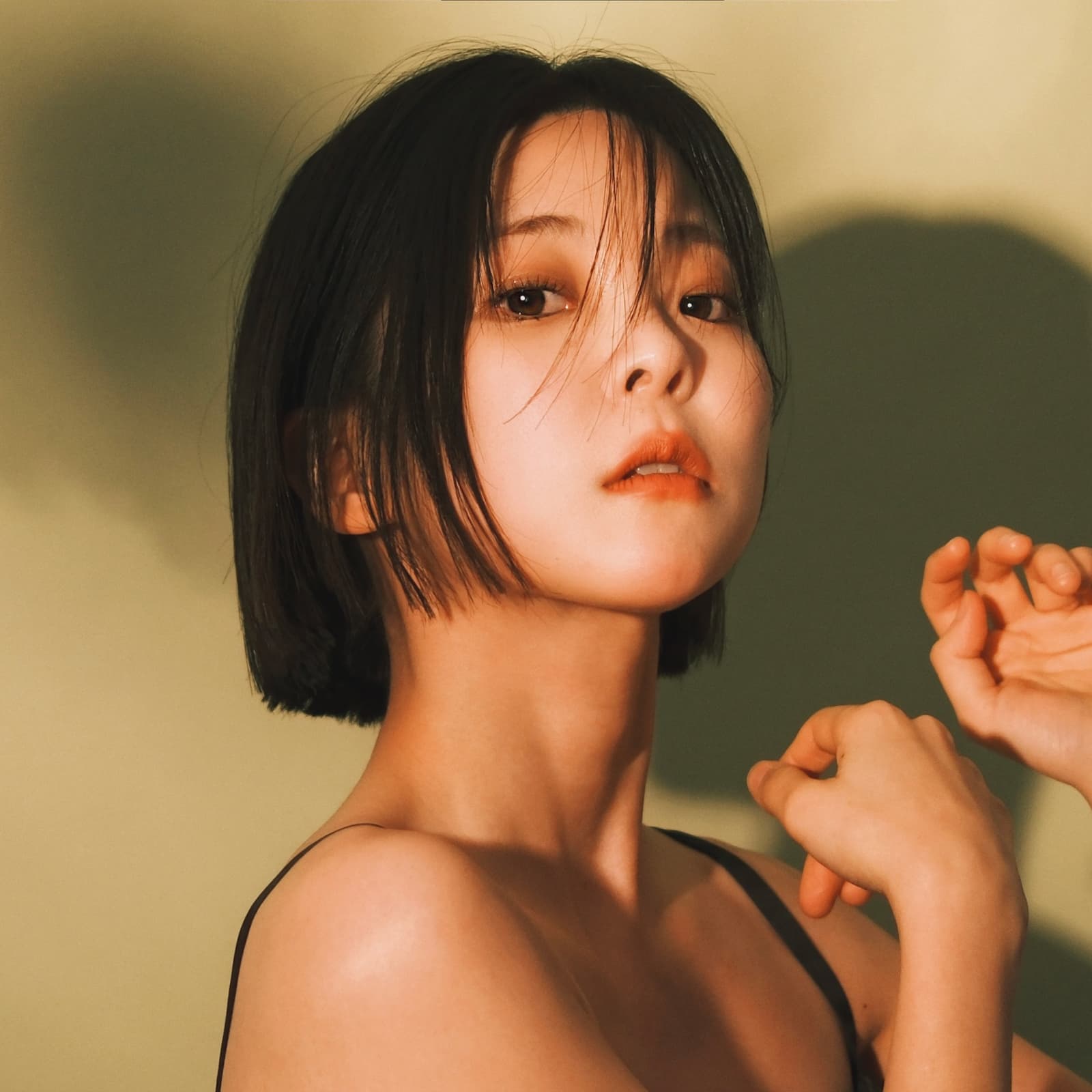 Heyne