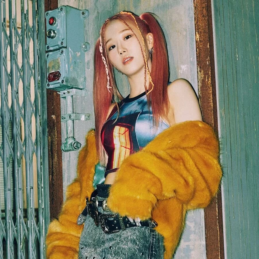 Ari banner